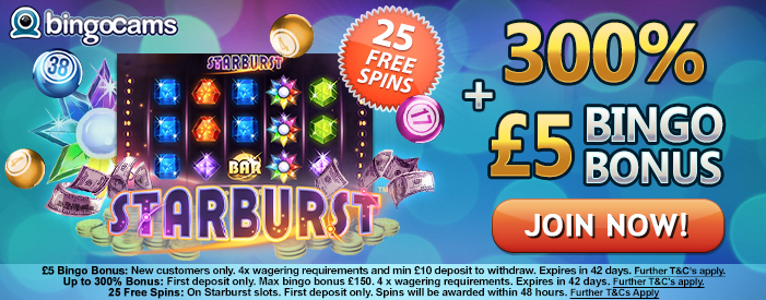 Free Online Bingo And Slots No Deposit